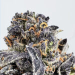 Animal Cookies -strain-district-connect-washington-dc-weed-delivery