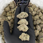 Blizzard of Oz-strain-district-connect-washington-dc-weed-delivery