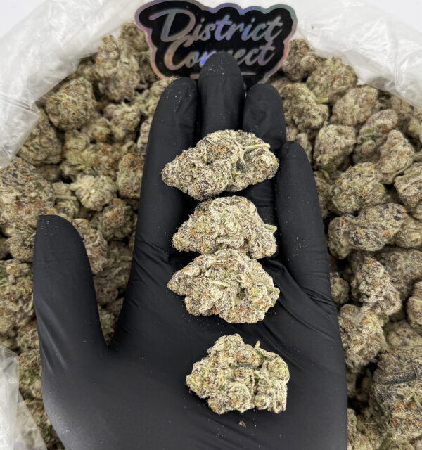 Blizzard of Oz-strain-district-connect-washington-dc-weed-delivery
