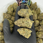 Candy Yam-strain-district-connect-washington-dc-weed-delivery