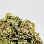Candy Yam-strain-district-connect-washington-dc-weed-delivery