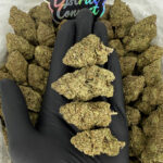 Grape Skunk-strain-district-connect-washington-dc-weed-delivery