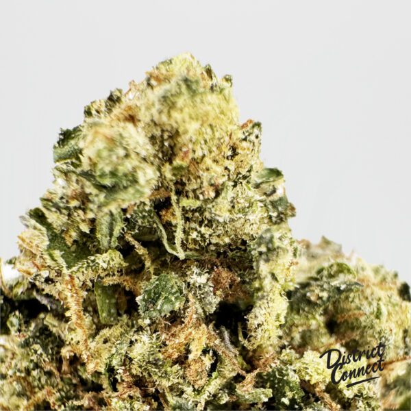 Black Runtz-strain-district-connect-washington-dc-weed-delivery