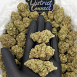 Purple Kush-strain-district-connect-washington-dc-weed-delivery