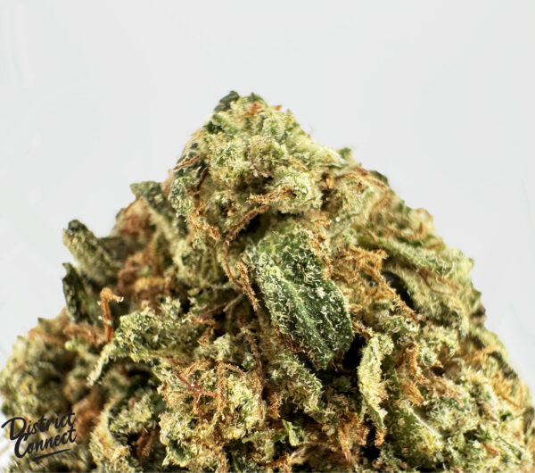 Purple Kush-strain-district-connect-washington-dc-weed-delivery