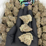 Rainbow Oreoz-strain-district-connect-washington-dc-weed-delivery