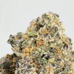 Rainbow Oreoz-strain-district-connect-washington-dc-weed-delivery