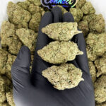 Sour Zkittlez -strain-district-connect-washington-dc-weed-delivery