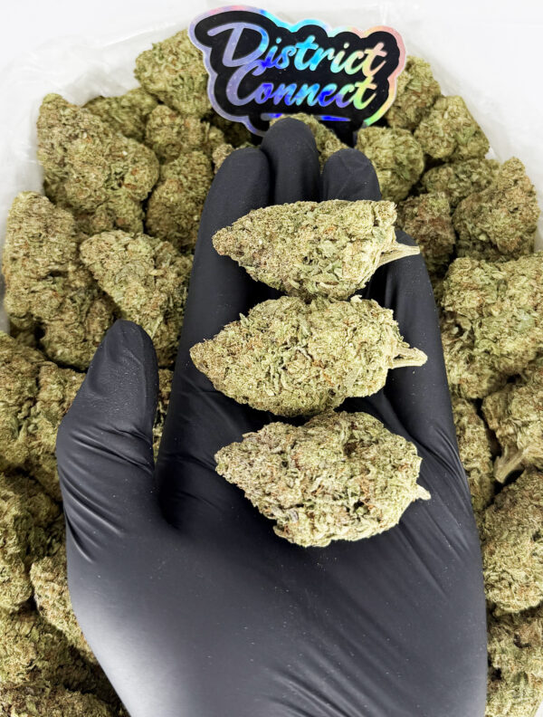Sour Zkittlez -strain-district-connect-washington-dc-weed-delivery
