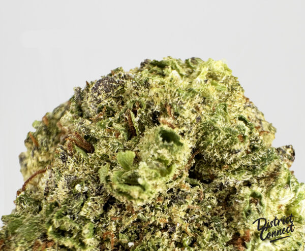 Space Runtz-strain-district-connect-washington-dc-weed-delivery