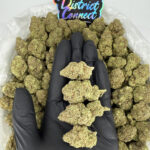 Space Runtz-strain-district-connect-washington-dc-weed-delivery