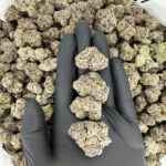 Platinum Widow-strain-district-connect-washington-dc-weed-delivery
