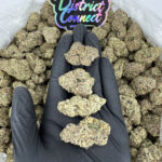 Supreme Gelato-strain-district-connect-washington-dc-weed-delivery
