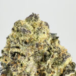 Supreme Gelato-strain-district-connect-washington-dc-weed-delivery