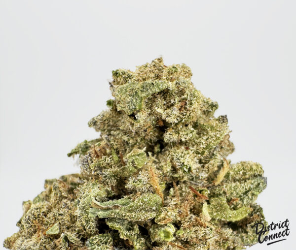 Jack Wreck-strain-district-connect-washington-dc-weed-delivery