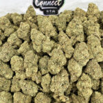 Cake Mix-strain-district-connect-washington-dc-weed-delivery