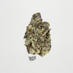 Blizzard of Oz-strain-district-connect-washington-dc-weed-delivery