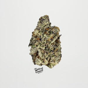 Blizzard of Oz-strain-district-connect-washington-dc-weed-delivery