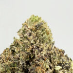 Lip Smacker-strain-district-connect-washington-dc-weed-delivery