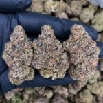 Lipsmacker strain-district-connect-washington-dc-weed-delivery