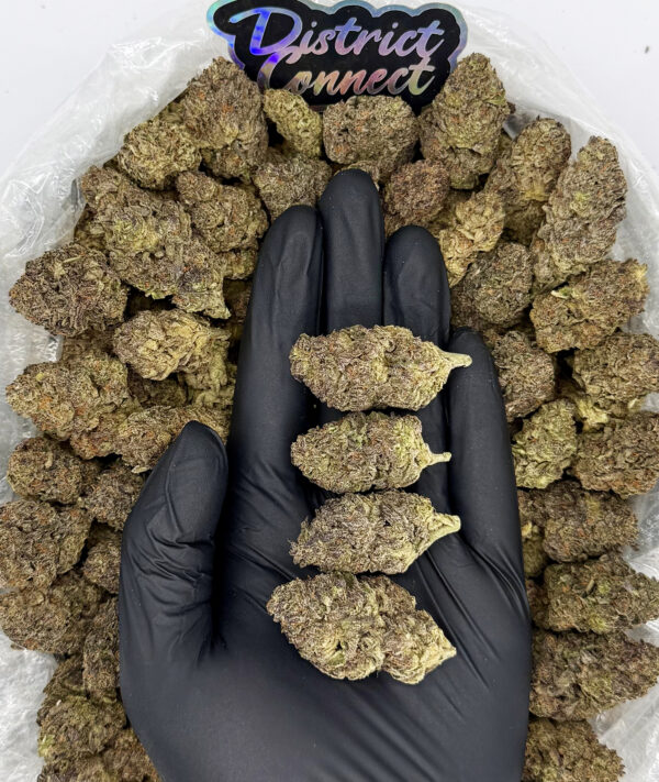Animal Mintz-strain-district-connect-washington-dc-weed-delivery