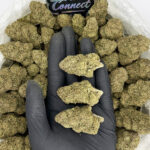 Mochi Gelato-strain-district-connect-washington-dc-weed-delivery