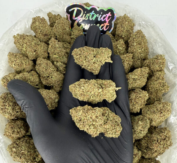 Blueberry Gelato-strain-district-connect-washington-dc-weed-delivery