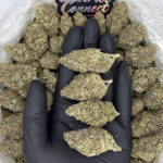 Ghost Train Haze-strain-district-connect-washington-dc-weed-delivery