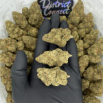Jaco Herer-strain-district-connect-washington-dc-weed-delivery
