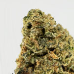 Jaco Herer-strain-district-connect-washington-dc-weed-delivery