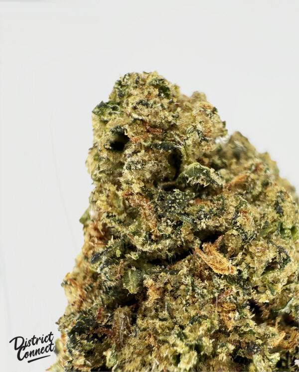 Jaco Herer-strain-district-connect-washington-dc-weed-delivery