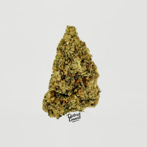 Jaco Herer-strain-district-connect-washington-dc-weed-delivery