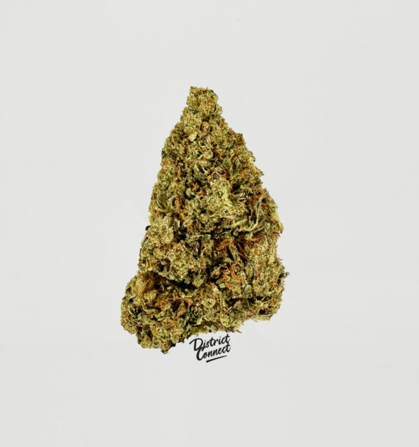 Jaco Herer-strain-district-connect-washington-dc-weed-delivery