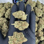 El Chapo OG-strain-district-connect-washington-dc-weed-delivery