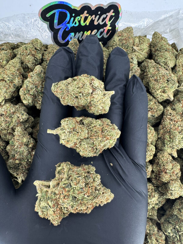 El Chapo OG-strain-district-connect-washington-dc-weed-delivery
