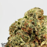 El Chapo OG-strain-district-connect-washington-dc-weed-delivery
