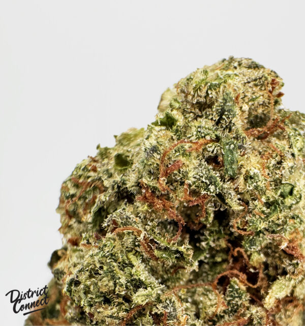 El Chapo OG-strain-district-connect-washington-dc-weed-delivery