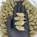 Silver Surfer-strain-district-connect-washington-dc-weed-delivery