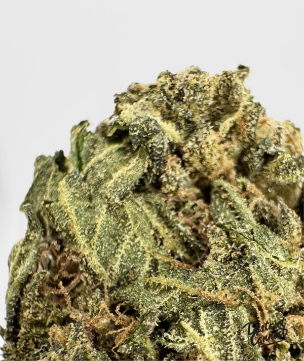 Silver Surfer-strain-district-connect-washington-dc-weed-delivery