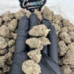 Sour Trixx-strain-district-connect-washington-dc-weed-delivery