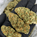District Connect - Jack Herer Sativa washington DC
