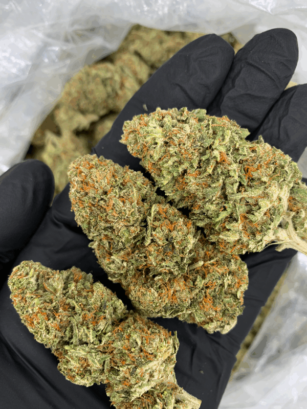 District Connect - Jack Herer Sativa washington DC