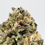 Icelato-strain-district-connect-washington-dc-weed-delivery