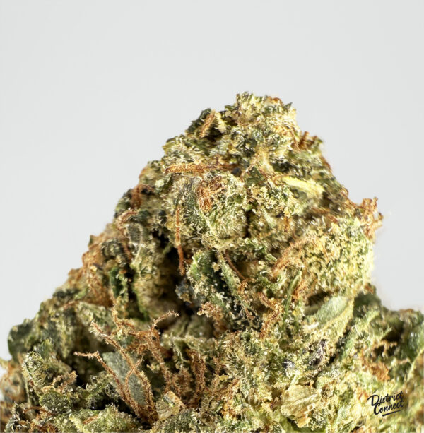 Alien OG strain-district-connect-washington-dc-weed-delivery