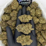 Alien OG strain-district-connect-washington-dc-weed-delivery