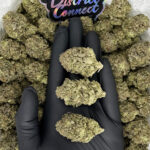 Cherry Bomb strain-district-connect-washington-dc-weed-delivery