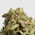 Cherry Bomb strain-district-connect-washington-dc-weed-delivery
