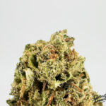 Durban Cookies-strain-district-connect-washington-dc-weed-delivery