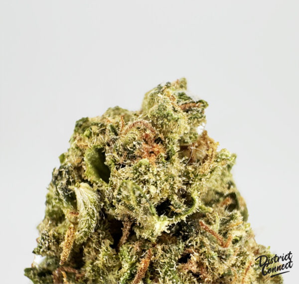 Durban Cookies-strain-district-connect-washington-dc-weed-delivery