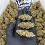 Durban Cookies-strain-district-connect-washington-dc-weed-delivery